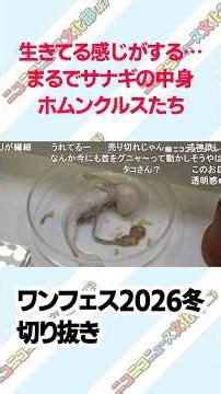 These homunculus creatures resemble the inside of a chrysalis or a fetus... The designs, which ar...