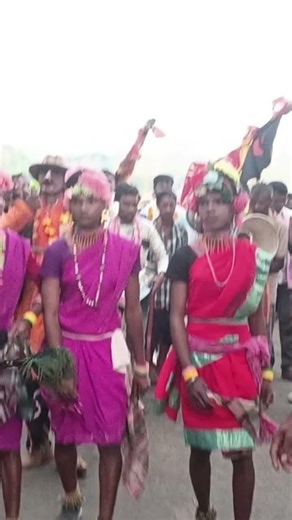 ମାଡିଆ ନାଟ୍