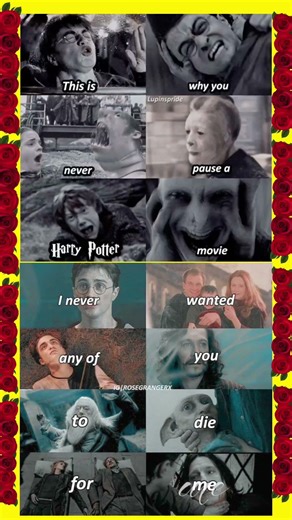This Is Why You Should Never Pause a Harry Potter Movie 😳💔 #harrypotterfilm #potterhead #potterhead