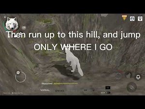 How to get lots of points on wolf online 2 (not alot of levels required)