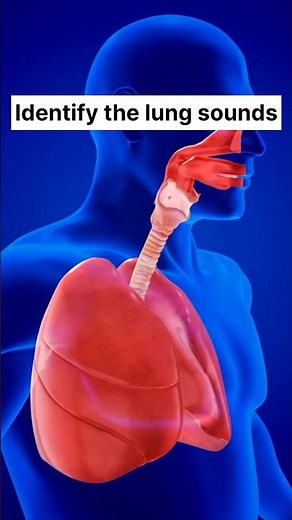 Rhonchi - Breath Sound