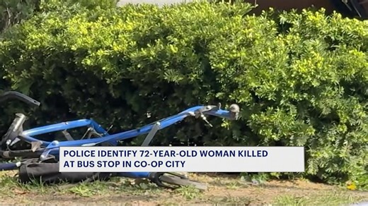 Grandmother killed, two injured after car slams into Bronx bus stop bench