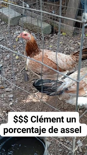 Julio Cesar Rivera Estrada on Reels | Facebook