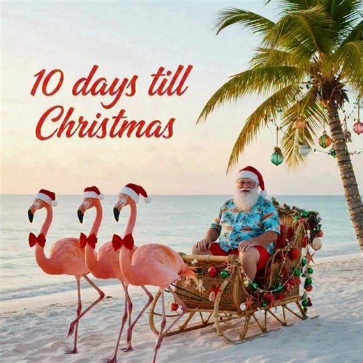 @seashell_sheryl on Instagram: "🎅🏖🌴10 days till Christmas… wishing it came with sandy toes! #christmascountdown #christmastime #Christmas #beachvibes"