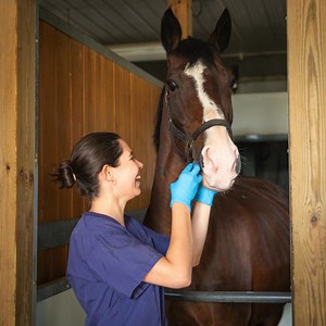 Lean into your career with 33 course-based master’s ranging from Finance, Data Science, Cybersecurity, Leadership, Mental Health, Project Management and more! | University of Guelph