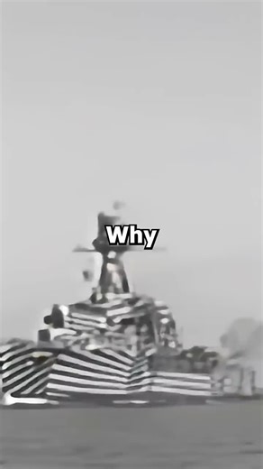 TikTok and America Highlights