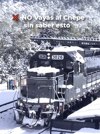 ¿Express o Regional? Te ahorro la confusión para tu viaje 2026 🚂🇲🇽 Esta es la duda NÚMERO UNO para viajar a las Barrancas del Cobre. Basado en los horarios y precios oficiales de 2026, aquí el resumen: ✨ Chepe Express: Más caro, más lujoso, más rápido. Ruta corta: Los Mochis Creel. Ideal para: Quien busca comodidad y tiene pocos días. 🎒 Chepe Regional: Mucho más económico. Ruta completa: Los Mochis Chihuahua Capital. Ideal para: Mochileros, presupuesto ajustado y quien quiere ver la vida loc