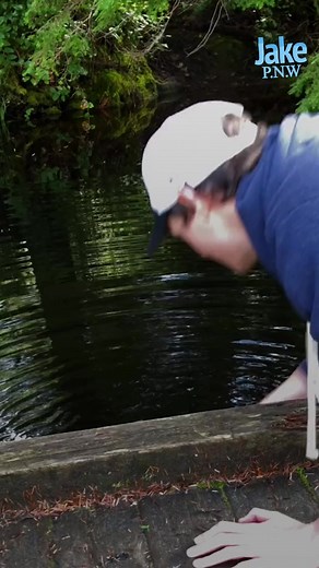 I finally got one !! #Yeet #ocean #wildlife #jacobcolvin #newt #poison | Jacob Colvin