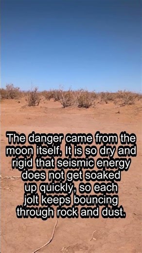 The Moonquake That Would Not Stop