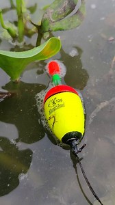 5K views · 88 reactions | Catfish Catching Techniques | MR Fishing Life | Facebook