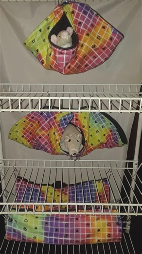 5pc, Critter Nation Hammock Set, Pet Rat Hammocks, Small Animal Bedding Set, Pet Bedding, Hanging House, Swing, Tunnel, Calzone, Hearts/paws - Etsy
