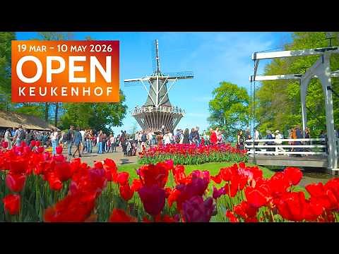 The World’s Most Beautiful Spring Garden - Keukenhof 2026 Open ! 4K 60FPS