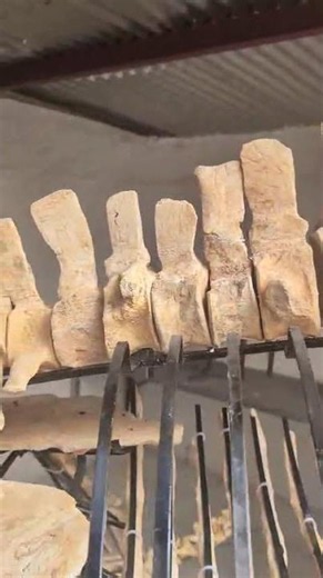 プレシオサウルス類 全身骨格｜巨大スケルトン製作中