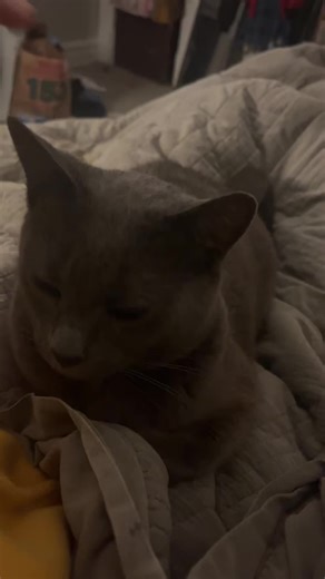 Testing her limits slowly I’m not trying to get scratched 😂