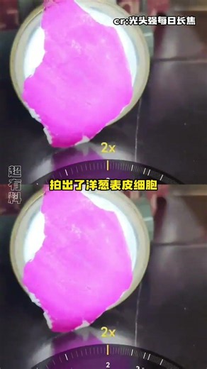 怎么镜头都进化成显微镜了！#万万没想到#高科技