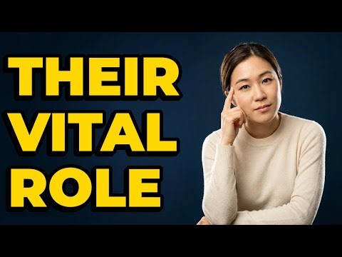 What Is The Main Job of Financial Institutions?