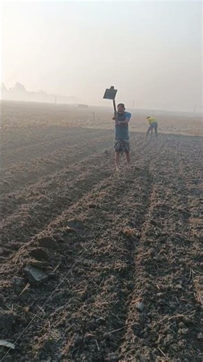 My cucumber project has a space of ten hundred.