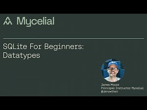 SQLite for beginners: Datatypes