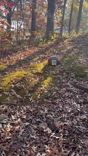 I made Rocky from SpongeBob!