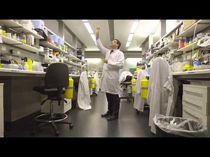 Professor Andrew Roberts: searching for the Achilles heel of cancer