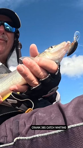 Crank 38s catch whiting | Lex Irwin Fishing