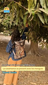 La Casamance une destination authentique🛖🌴🌳🌿. | Aventure Destination Sénégal