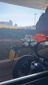 Amazing Watch on Reels