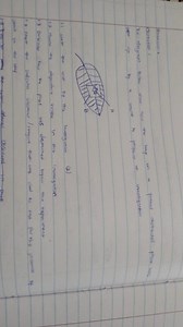 HomewerkThe Alegram bilow show how tho loct on a potied dutarc... | Filo