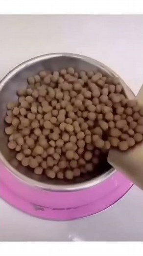 weird Dog eating food with milk meme