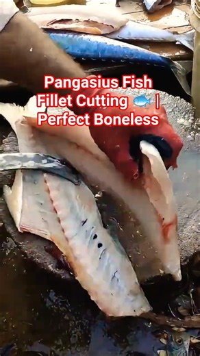 Pangasius Fish Fillet Cutting 🐟#PangasiusFish #FishFillet #FishCutting #SeafoodShorts #FilletSkills