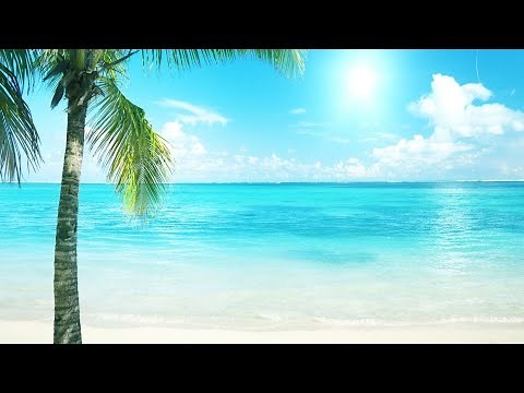 🫕☀️WAKACJE 2025 POLSKA MUZYKA W REMIXACH STARE + NOWE REMIXY ☀️🫕