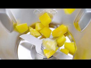 MAGIMIX Cook Expert - Blender Programme - EN