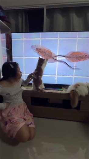 Why does my sticky rice keep wandering around the TV?