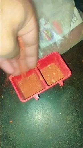 Caring for pigeons #birds