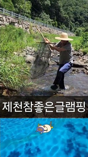 제천참좋은글램핑 여름휴가 연인 가족 여행 #제천숙소 #제천펜션 #수영장펜션 #가족여행 #연인숙소 #고기잡기 #제천명소 #글램핑장 #바람이불어오는곳 #고기잡이