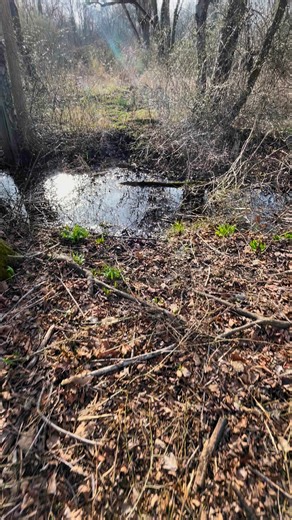 3.5K views | Repairing the hunting shack from a fallen tree #hunting #whitetail #deer | Jake Outdoorz | Facebook