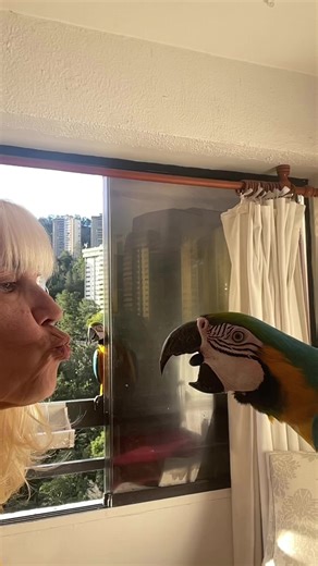 Exploring Tango with Casoo and Condorito Characters