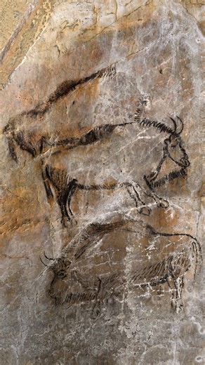 Sites Touristiques Ariège on Instagram: "🖌️ Venez découvrir les authentiques peintures de nos ancêtres dans la grotte de Niaux ! La grotte de Niaux vous rouvre ses portes dès samedi 7 février ! Avec l’émotion d’un explorateur et à la lueur d’une lampe, marchez dans les pas des Cro-Magnons : vous avez rendez-vous avec une part de votre Histoire ! Venez visiter l'une des dernières grottes accessibles où le public peut encore admirer les vraies peintures pariétales de nos ancêtres ! 🤩 ➡️ Infos et