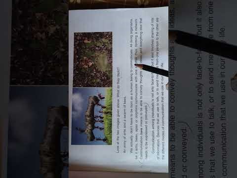 @Dav class 8 ICT/Computer Chapter 1. ..... 1st Day ..