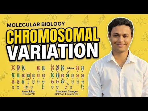Chromosomal Variation (biology Topic) #biology #science #study