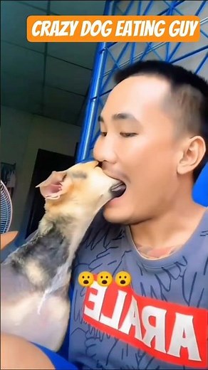 crazy dog eating guy #trending #comedy #viralreels #fun #funny #acting #shocked #dog #crazy #prank