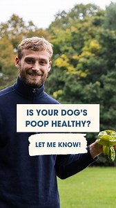 4.1K views · 27 reactions | Your dog’s poo can tell you more than you...