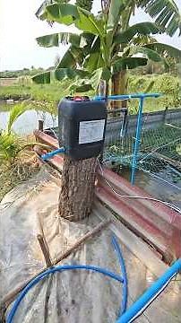 ทำระบบกรองน้ำโดยใช้วัสดุเหลือใช้ พร้อมระบบออกซิเจนในบ่อปลา #DIy #บ่าวพงเพื่อนเกษตร