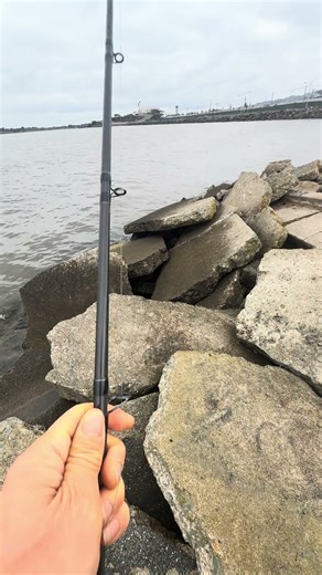 My favorite striped bass fishing rod and reel