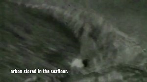 20K views · 1.4K reactions | Destructive commercial fishing practices like bottom trawling decimate wildlife and destroy delicate ecosystems. Join the call to ban harmful fishing practices from vital habitats, for the future of our blue planet! | Greenpeace Aotearoa | Facebook