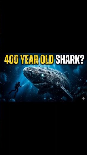 The Shark That Can Live 400 Years | Ocean Mystery |Greenland shark