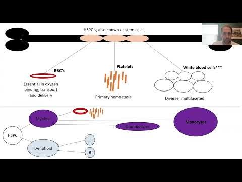Understanding Erdheim-Chester Disease: The Molecular and Clinical Landscape