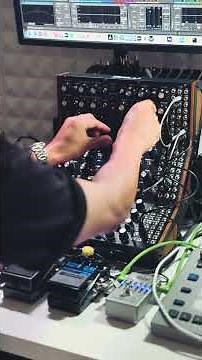 Synthesizing with Moog Mother-32 / DFAM / Subharmonicon