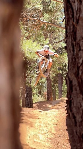 Nino Schurter on Instagram: "Work hard - play harder 🤓 #SCOTTspark #NOSHORTCUTS"