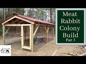 MEAT RABBIT COLONY BUILD. We built a meat rabbit pen to raise our rabbits in a colony setting.